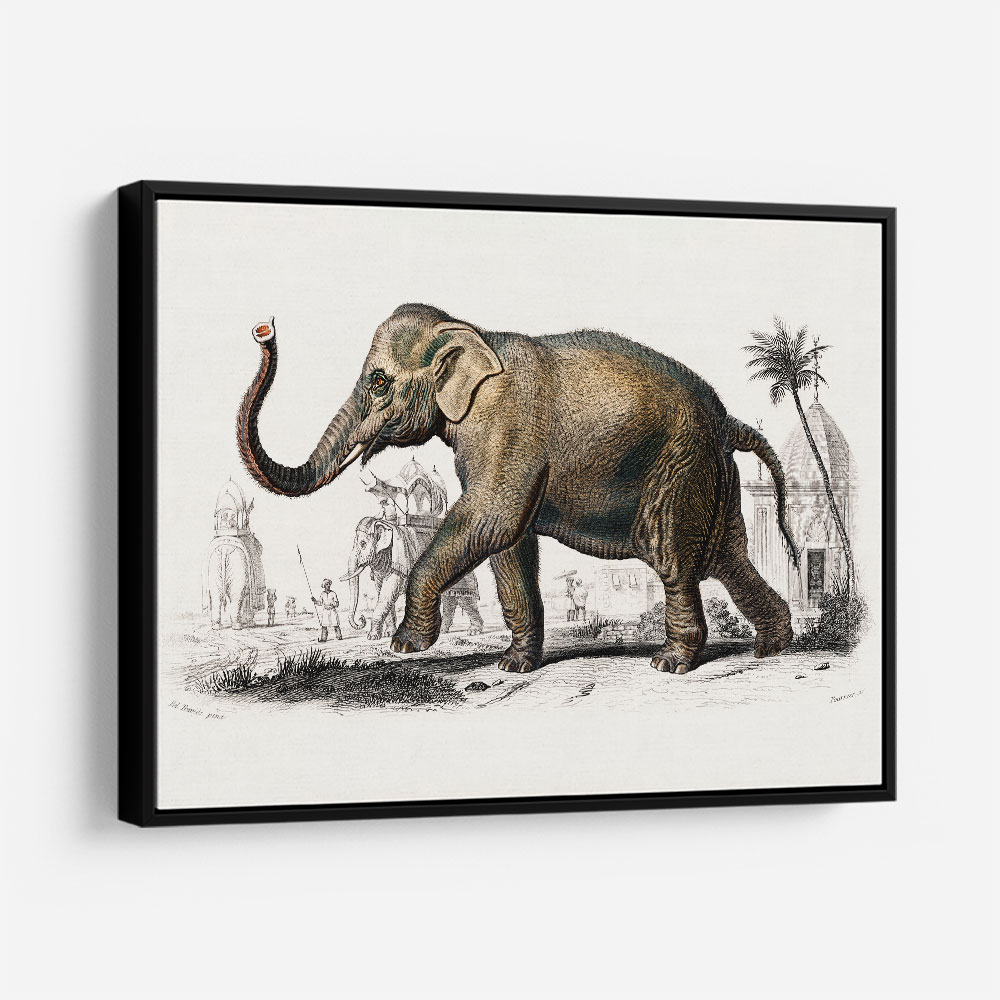 Vintage outlet framed pictures